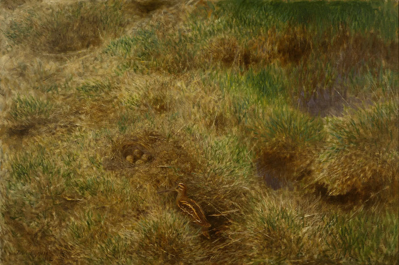 Schnepfennest - Bruno Liljefors