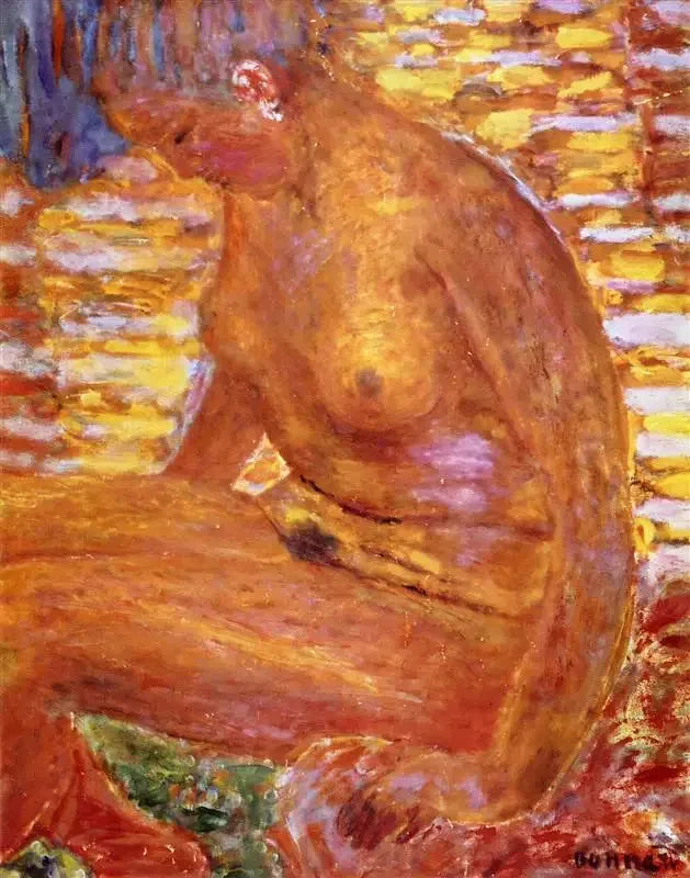 Dunkle Nuance - Pierre Bonnard