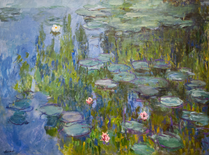Seerosen, Neue Pinakothek W1796 - Claude Monet