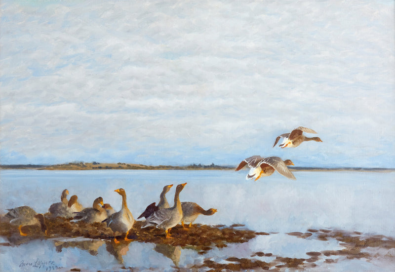 Gänse - Bruno Liljefors