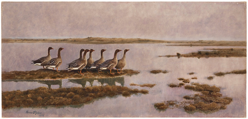 Gänse in Feuchtgebieten – Bruno Liljefors