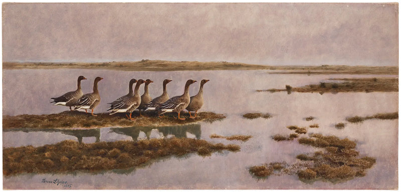 Gänse in Feuchtgebieten – Bruno Liljefors