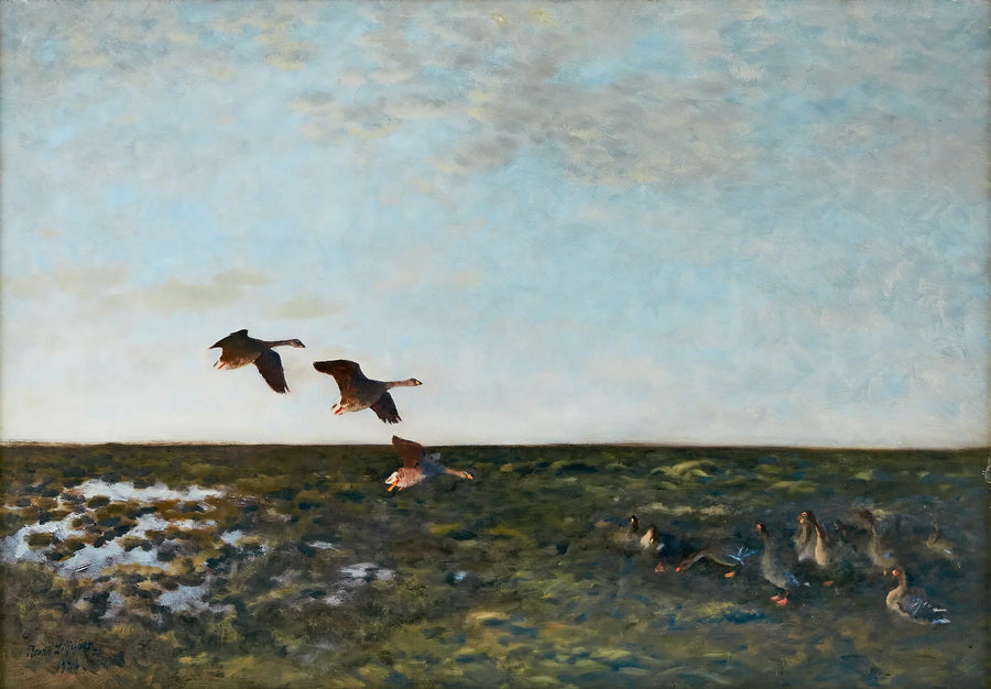 Bohnengänse - Bruno Liljefors