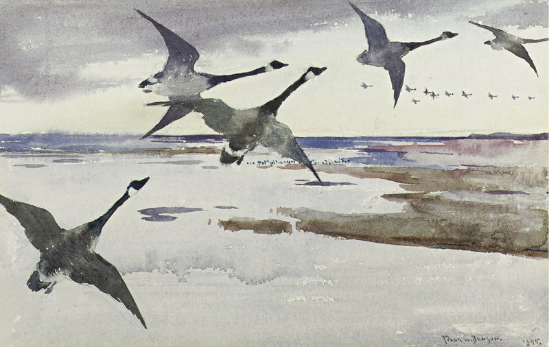 Gänse des Kanadas - Frank Weston Benson