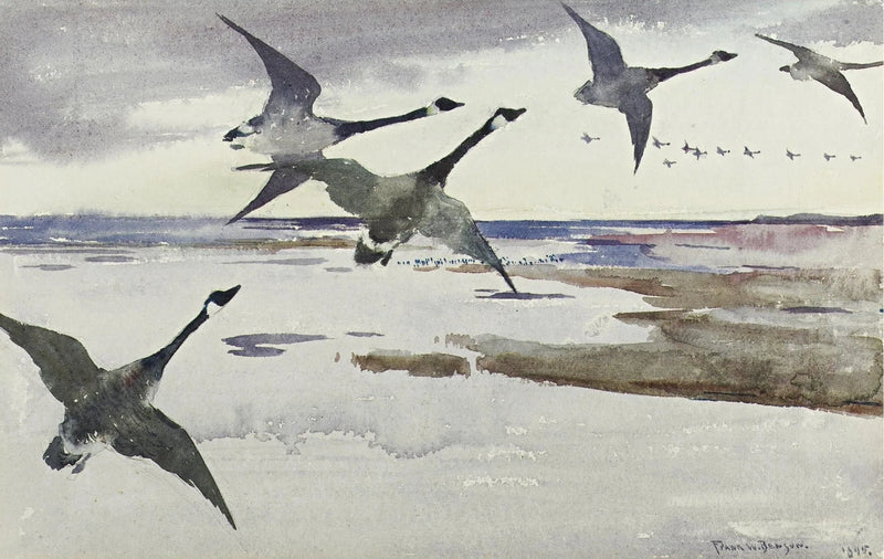 Gänse des Kanadas - Frank Weston Benson