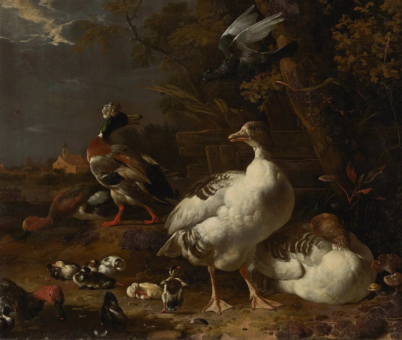 Gänse und Enten - Melchior de Hondecoeter