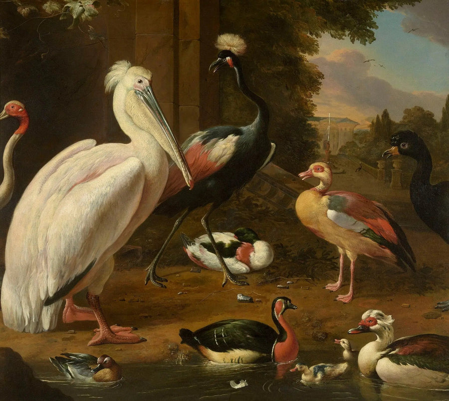 Wasservögel - Melchior de Hondecoeter