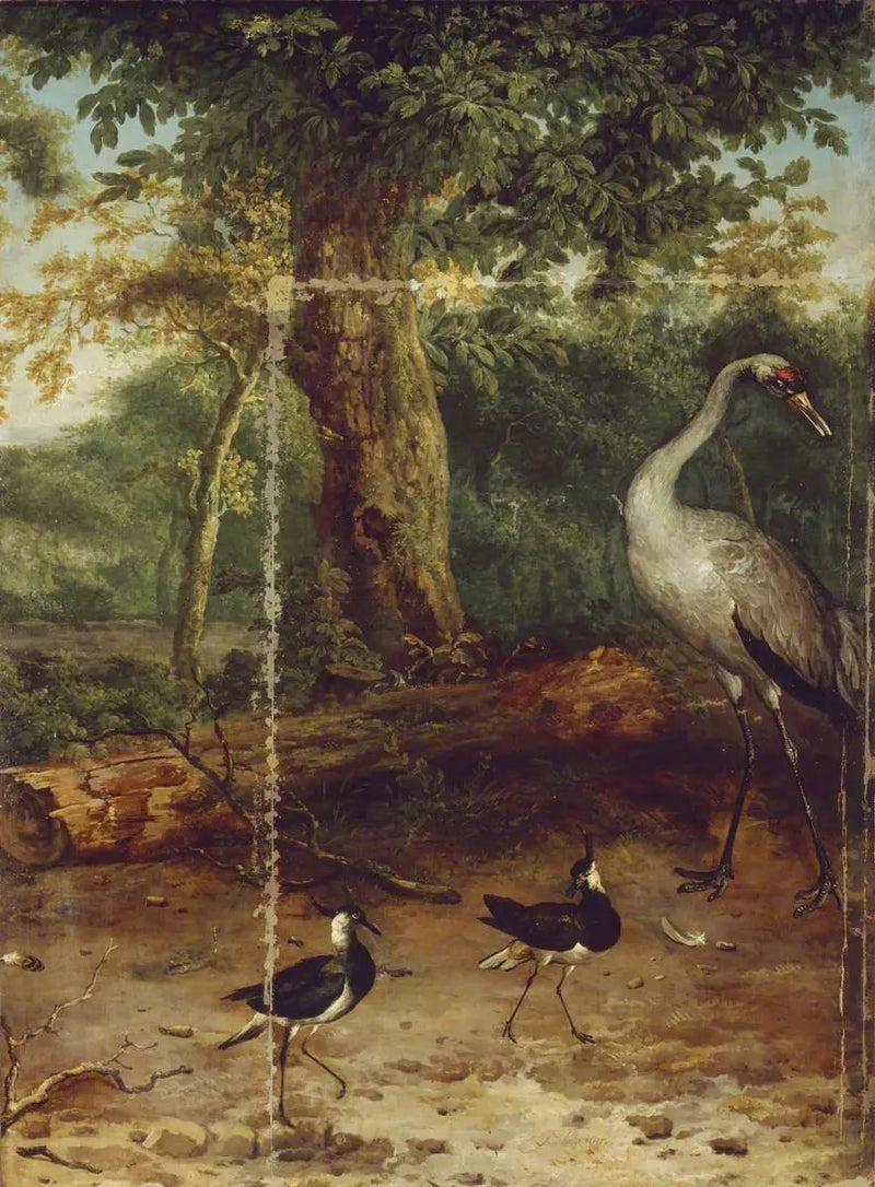 Vögel in einem Wald - Melchior de Hondecoeter