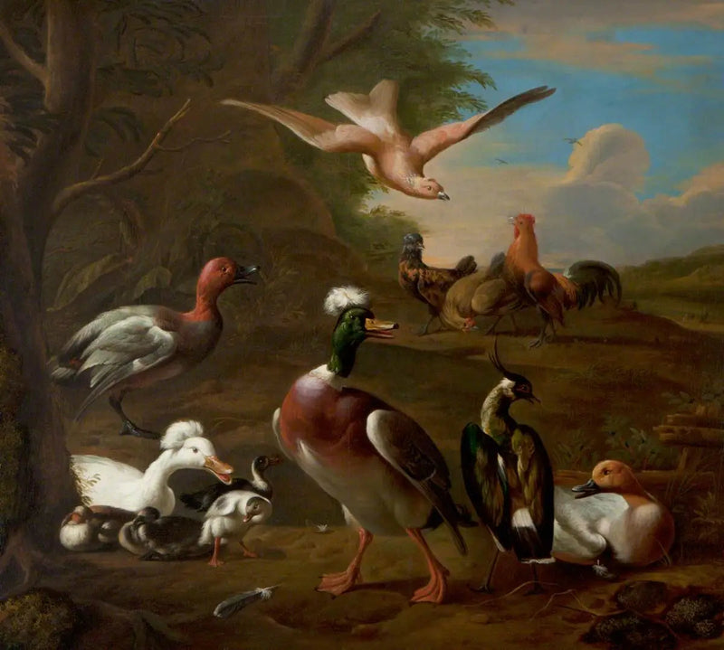 Vögel in einer Landschaft - Melchior de Hondecoeter
