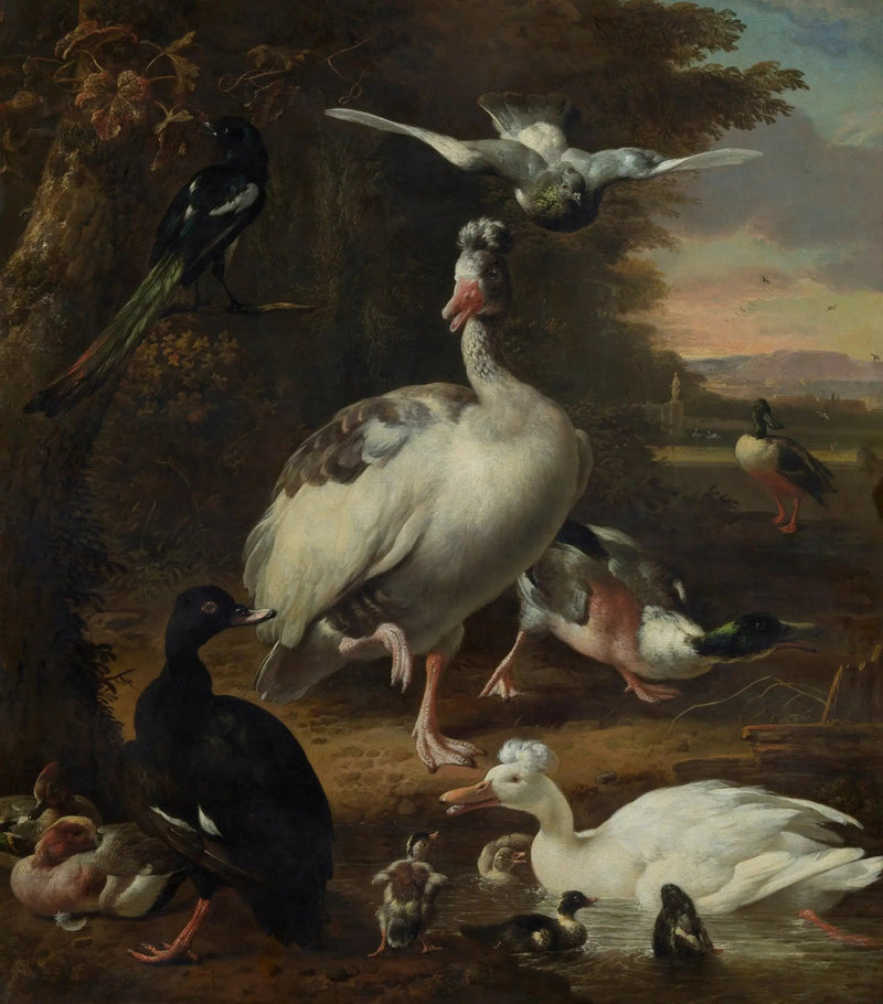 Vögel - Melchior de Hondecoeter