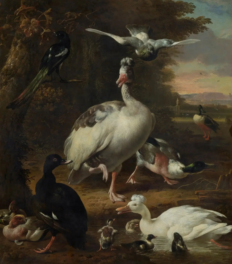 Vögel - Melchior de Hondecoeter