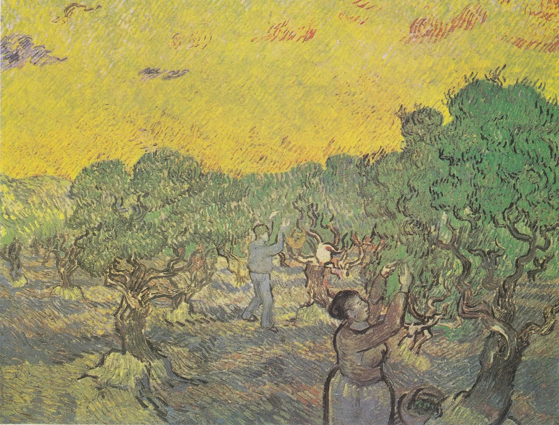 Olivenhain mit Pflückfiguren - Vincent van Gogh