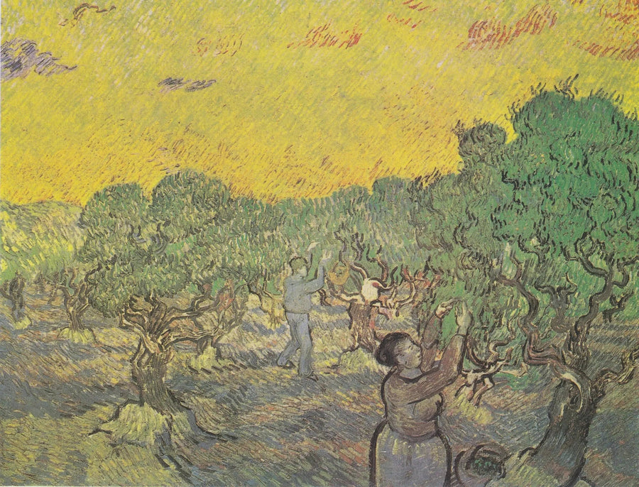 Olivenhain mit Pflückfiguren - Vincent van Gogh