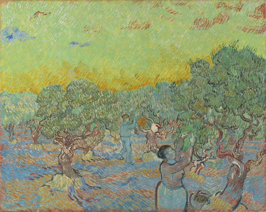 Olivenhain mit Pflückfiguren - Vincent van Gogh