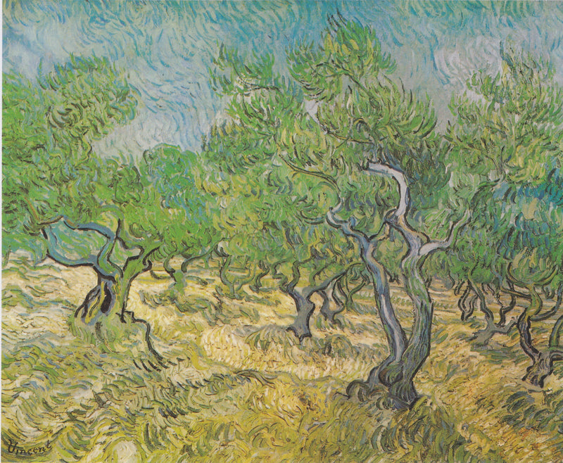 Olivenbäume - Vincent van Gogh