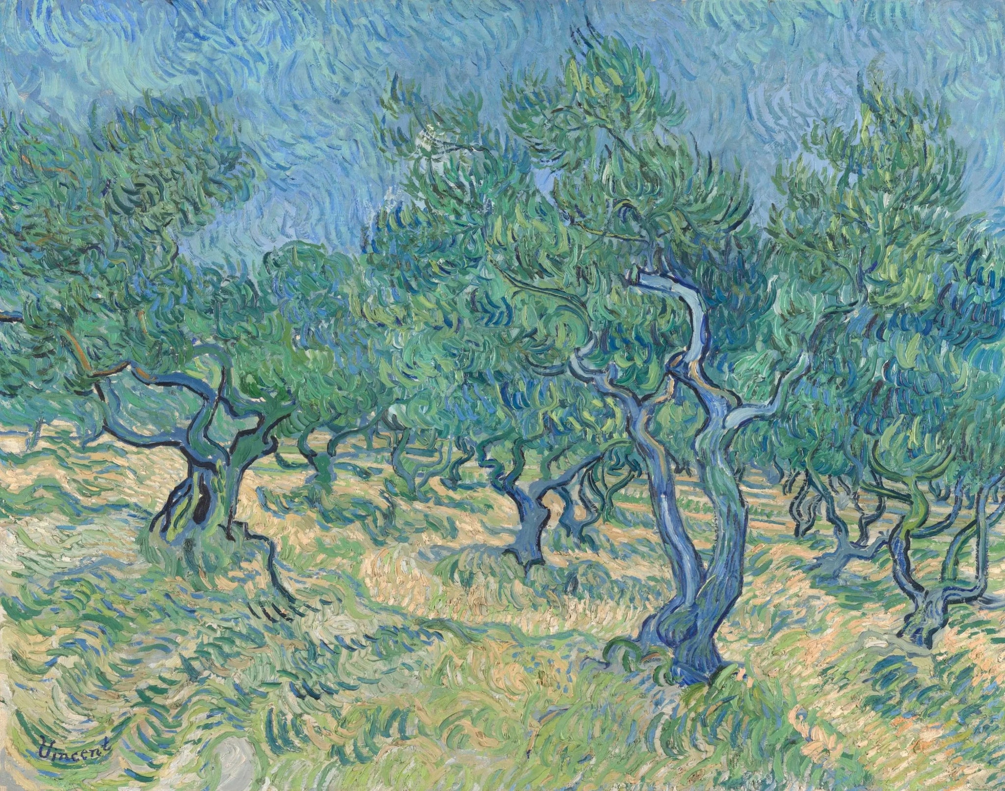 Oliveraie F585 de Vincent van Gogh, Kröller-Müller Museum