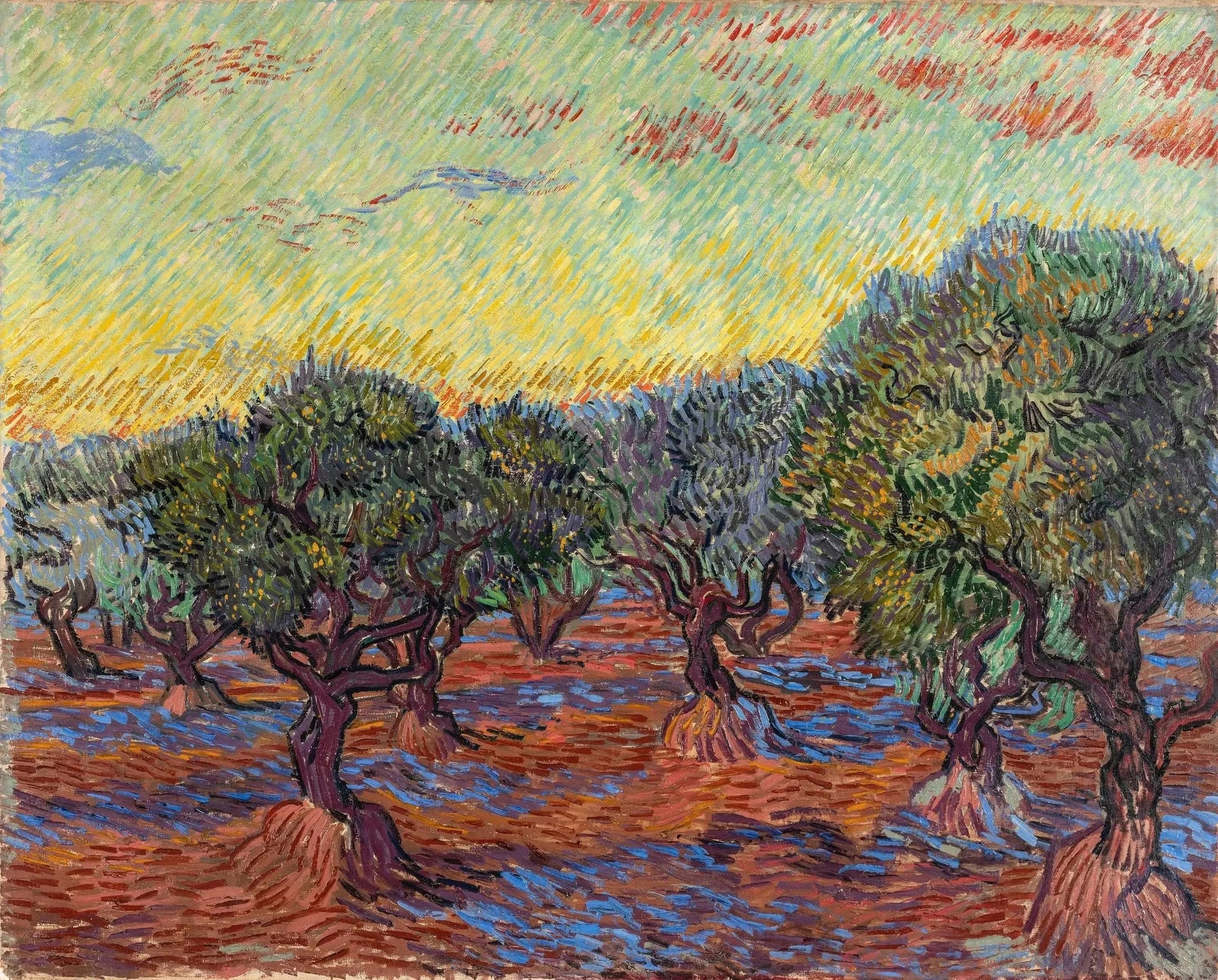 Oliveraie, Saint-Rémy - Vincent van Gogh image 1 reproduction de peinture à l’huile