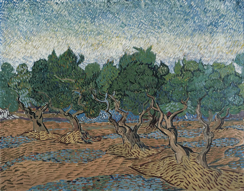 Olivenhain - Vincent van Gogh