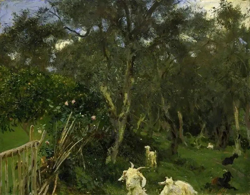 Oliven in Korfu - John Singer Sargent