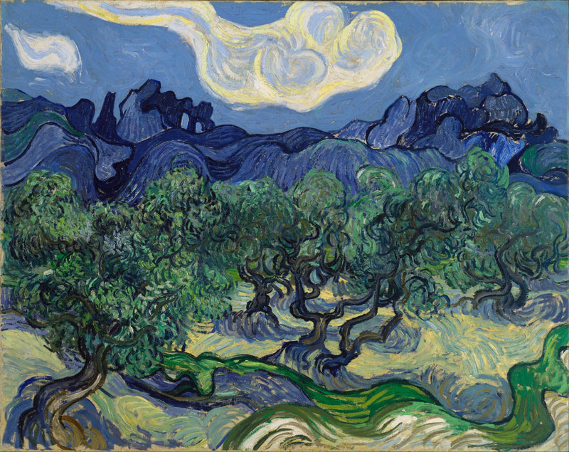 Olivenbäume mit den Alpillen im Hintergrund - Vincent van Gogh