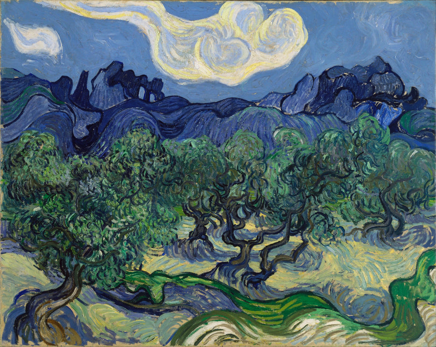Olivenbäume mit den Alpillen im Hintergrund - Vincent van Gogh