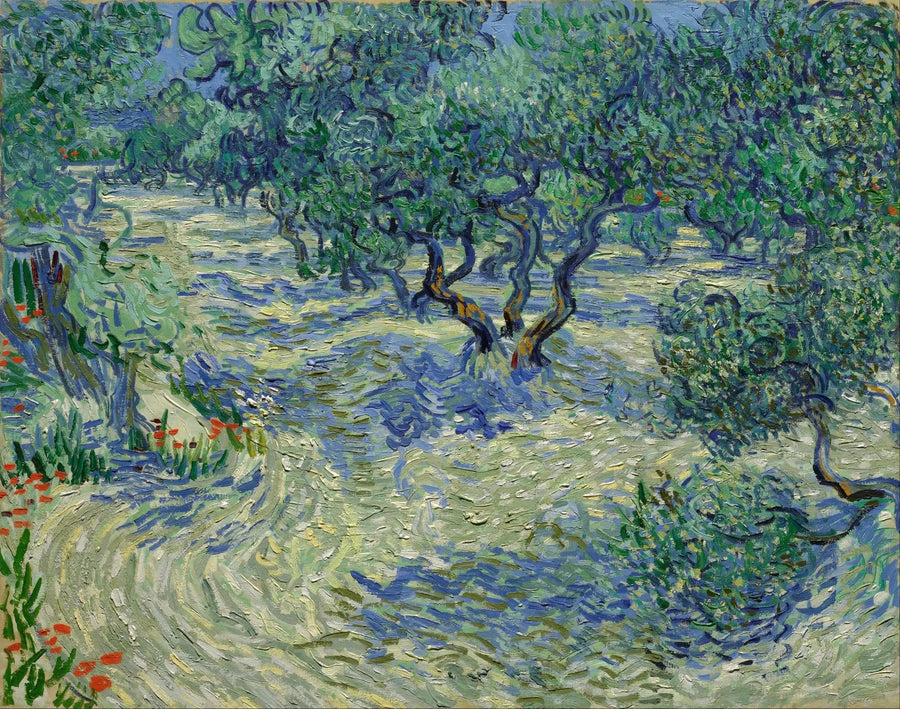 Olivenhain - Vincent van Gogh