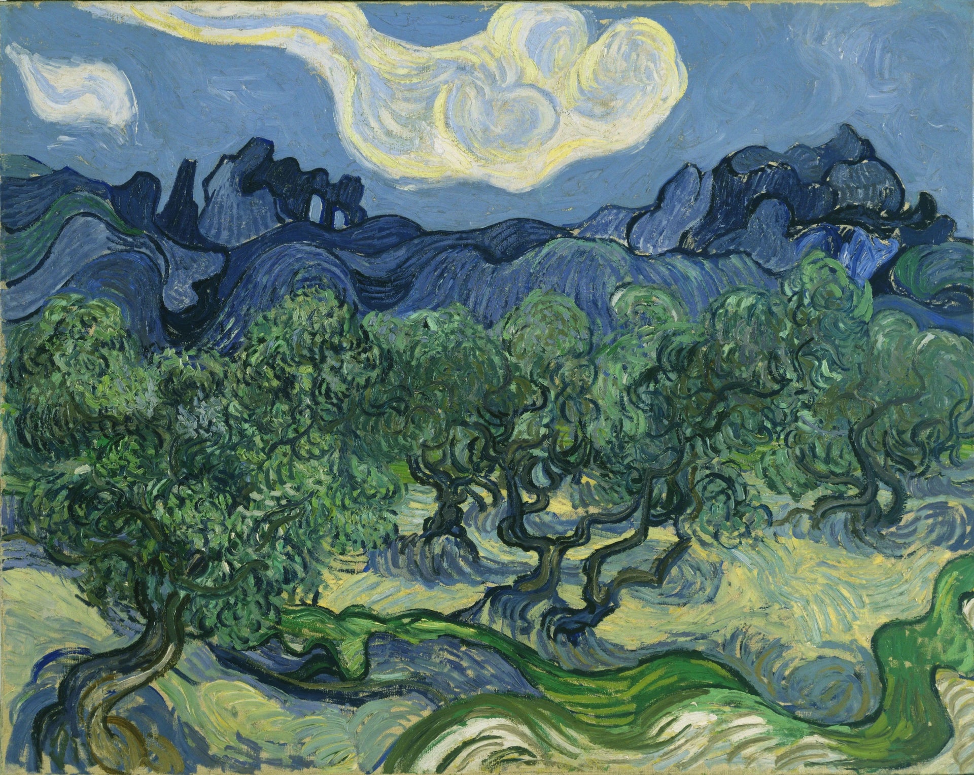 Les Oliviers de Vincent van Gogh – reproduction peinture à l’huile