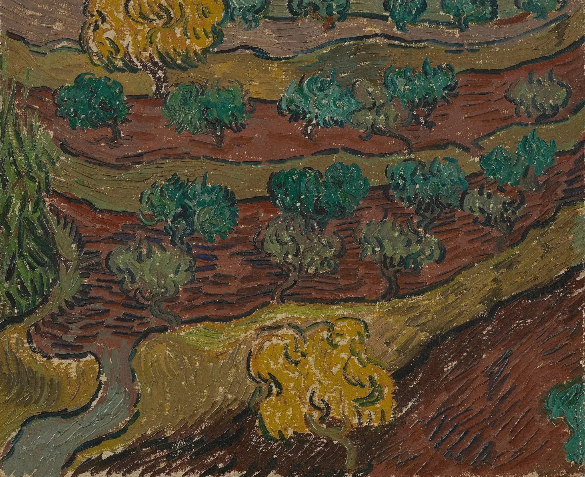 Oliviers sur une colline - Vincent van Gogh image 1 copie de tableau peinte à la main