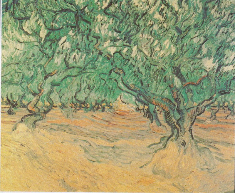 Olivenbäume - Vincent van Gogh