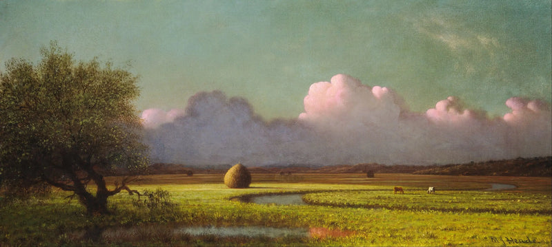 Schatten und Licht: die Sümpfe von Newbury - Martin Johnson Heade