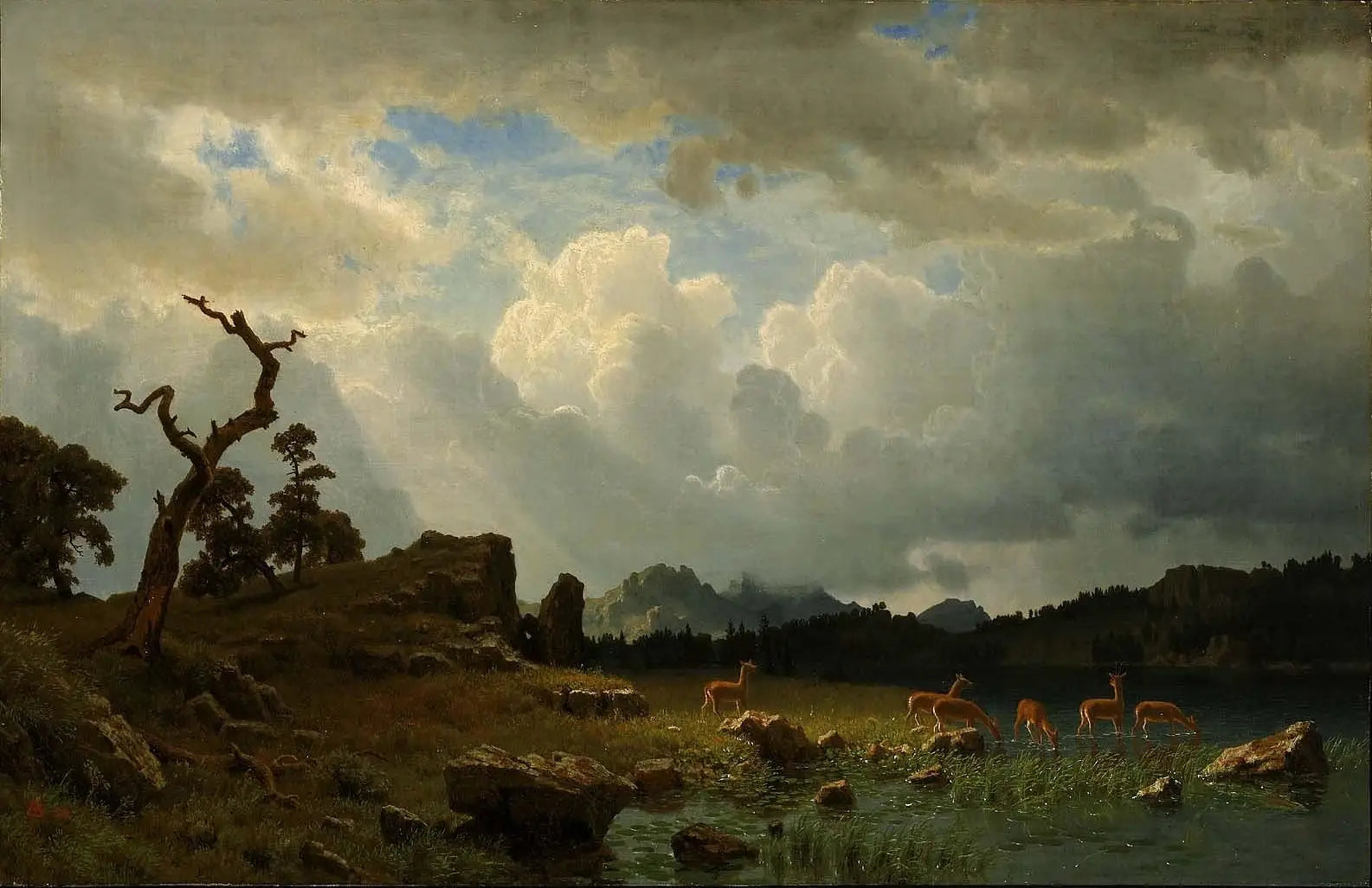 Orage dans les montagnes Rocheuses - Albert Bierstadt - Alpha Reproduction