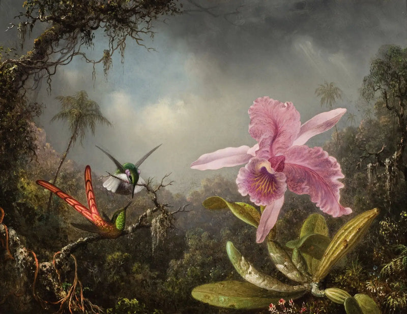 Orchidee mit zwei Kolibris - Martin Johnson Heade