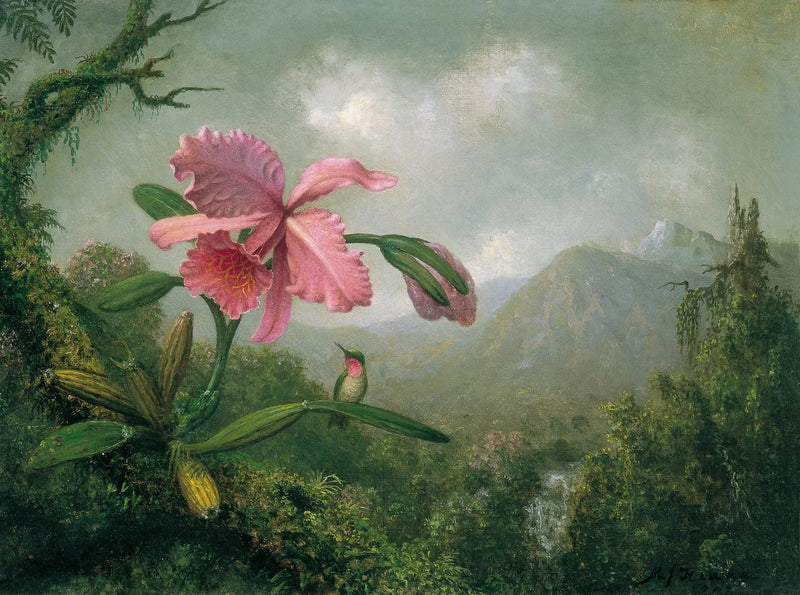 Orchidee und Kolibri in der Nähe eines Bergwasserfalls - Martin Johnson Heade