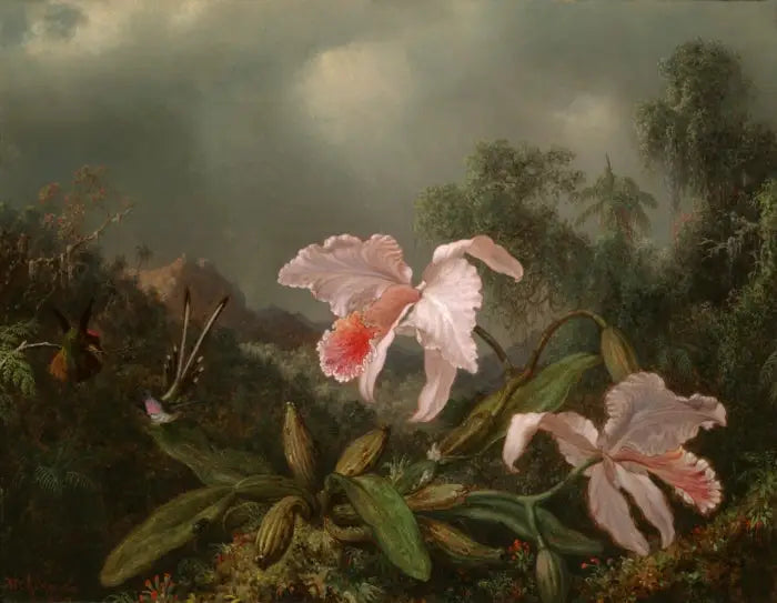 Orchideen des Dschungels und Kolibris - Martin Johnson Heade