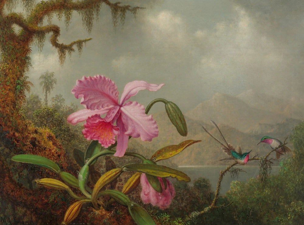 Orchidées et colibris - Martin Johnson Heade image 1 copie de tableau peinte à la main