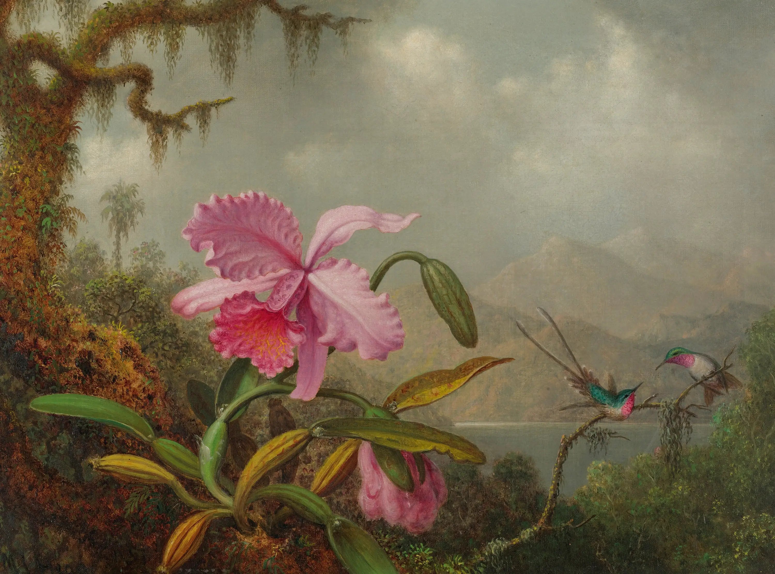 Orchidées et colibris - Martin Johnson Heade - Alpha Reproduction