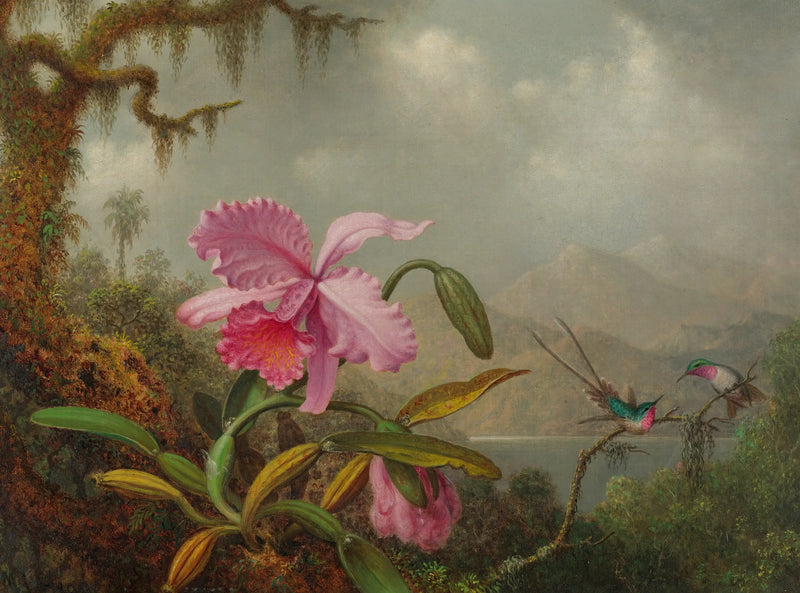 Orchideen und Kolibris - Martin Johnson Heade