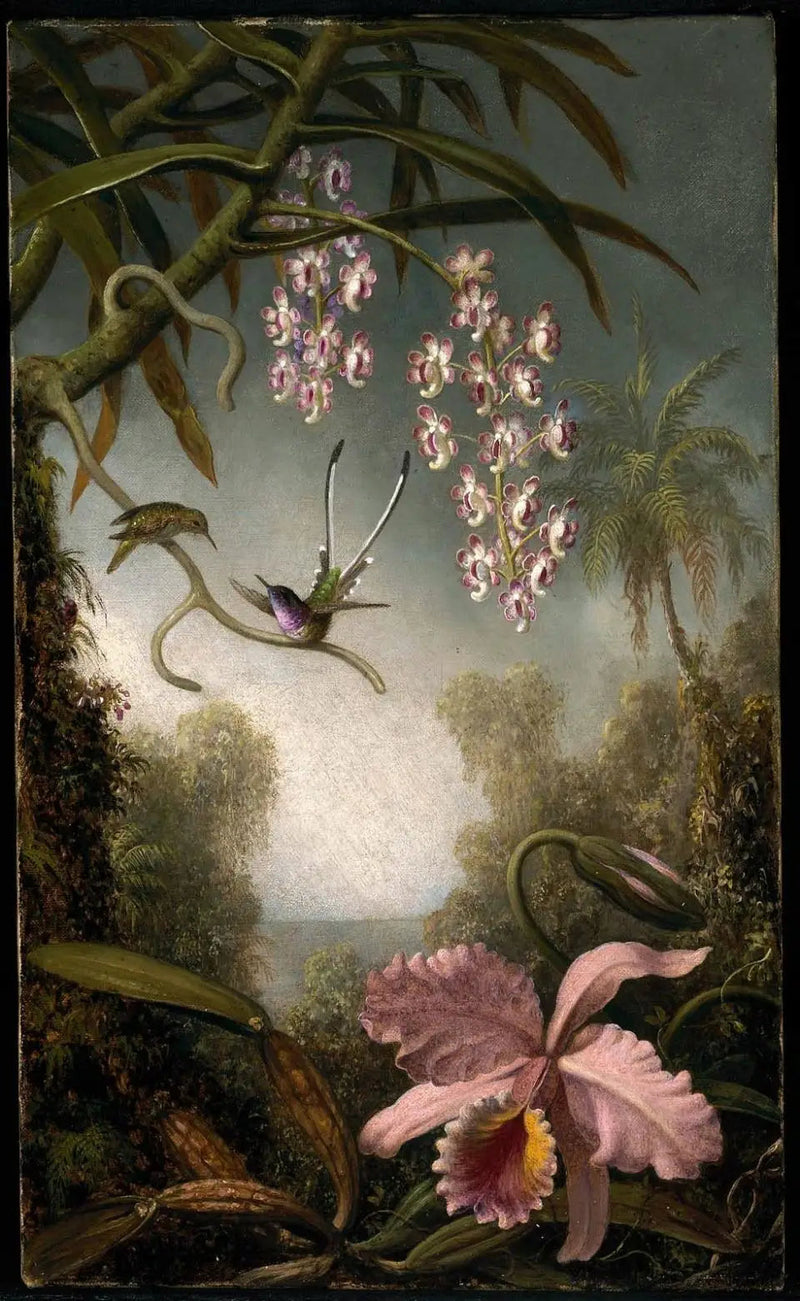Orchideen und Orchideen im Spray mit Kolibri - Martin Johnson Heade
