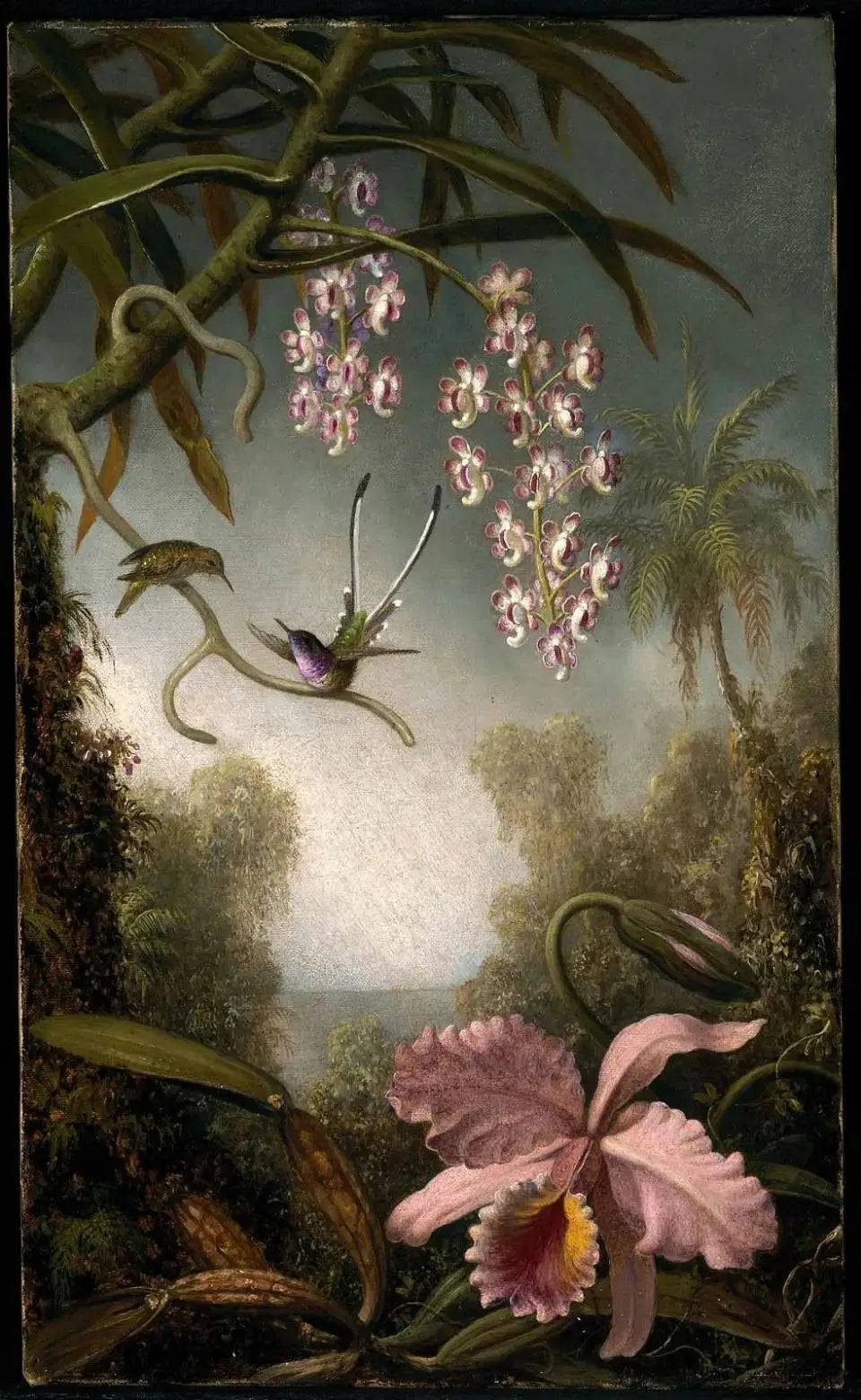 Orchidées et orchidées en spray avec colibri - Martin Johnson Heade image 1 tableau peint à l’huile sur toile