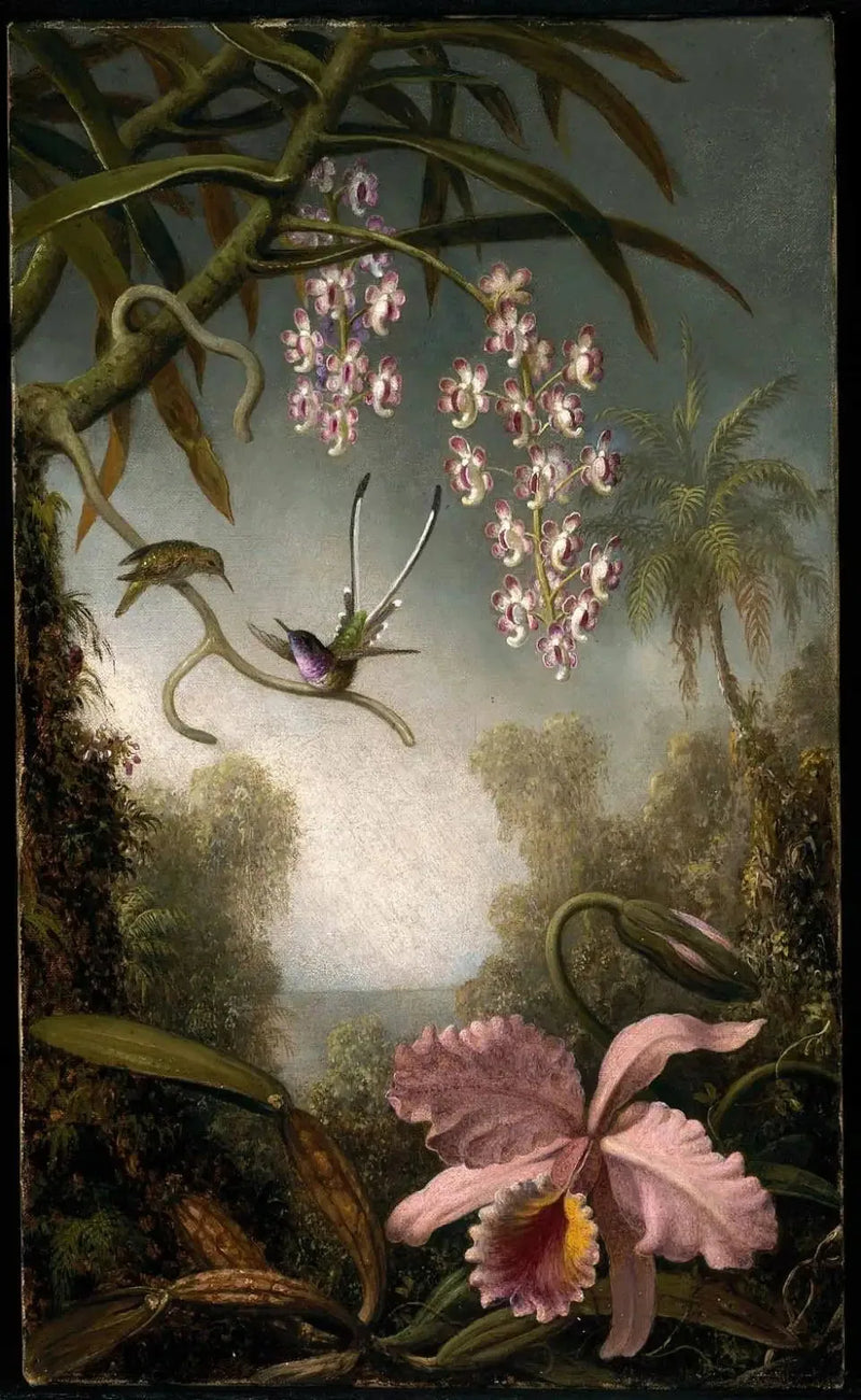 Orchideen und Orchideen im Spray mit Kolibri - Martin Johnson Heade