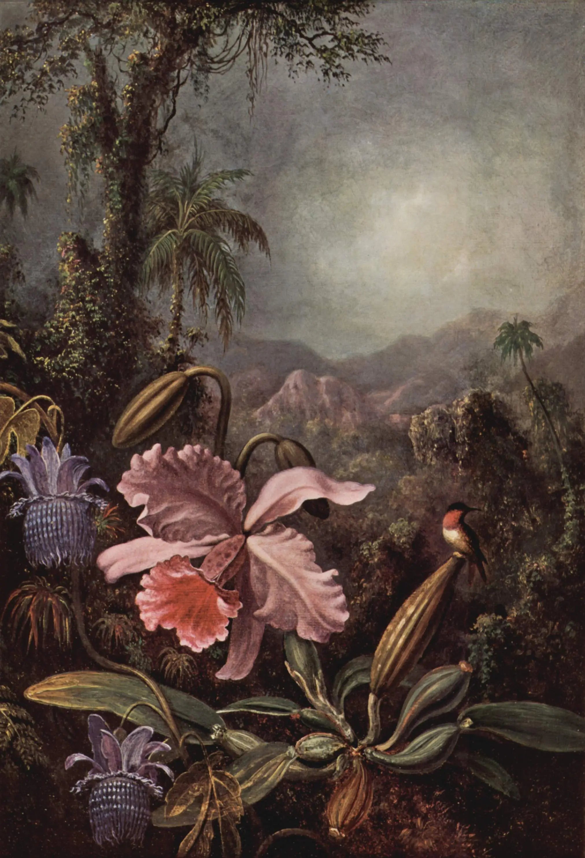 Orchidées passiflores et colibris - Martin Johnson Heade - Alpha Reproduction