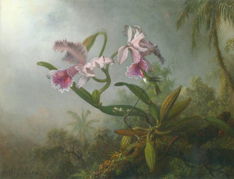 Rosarote Orchideen und Kolibri auf einem Zweig - Martin Johnson Heade