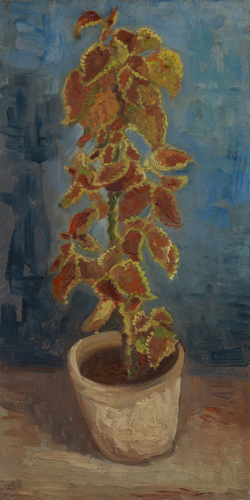 Leuchtende Brennnessel in Blumentopf - Vincent van Gogh