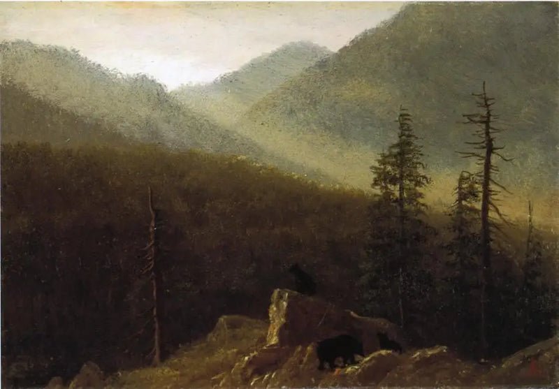 Unsere in der Natur - Albert Bierstadt