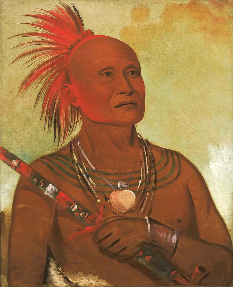 Pam-a-hó, der Schwimmer, einer der Krieger von Black Hawk - George Catlin