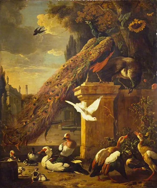 Pfauen und Enten - Melchior de Hondecoeter