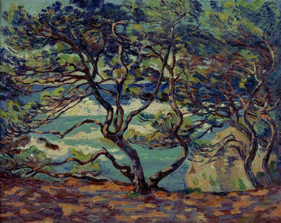 Sonnenschirm Le Pin, Le Brusc, Umgebung von Toulon - Armand Guillaumin