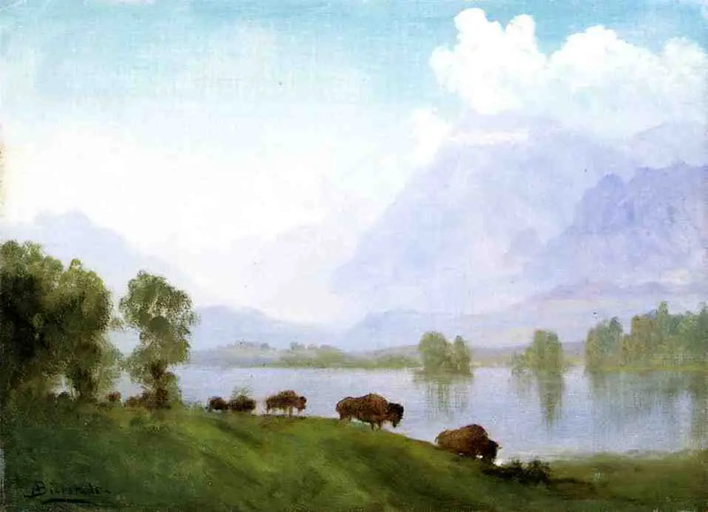 Bison-Land - Albert Bierstadt