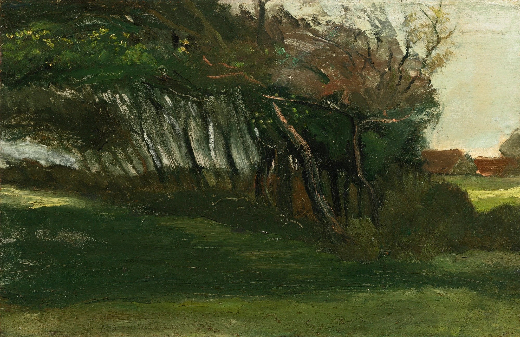 Paysage avec des arbres courbés par le vent F196 JH957 — Vincent van Gogh