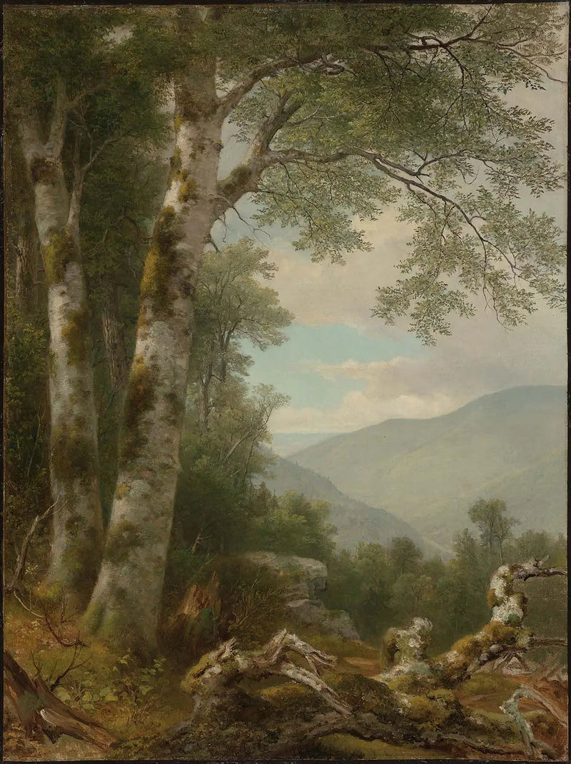 Landschaft mit Birken - Asher Brown Durand
